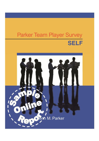 Picture of Parker Team Player Survey Online Sample Report